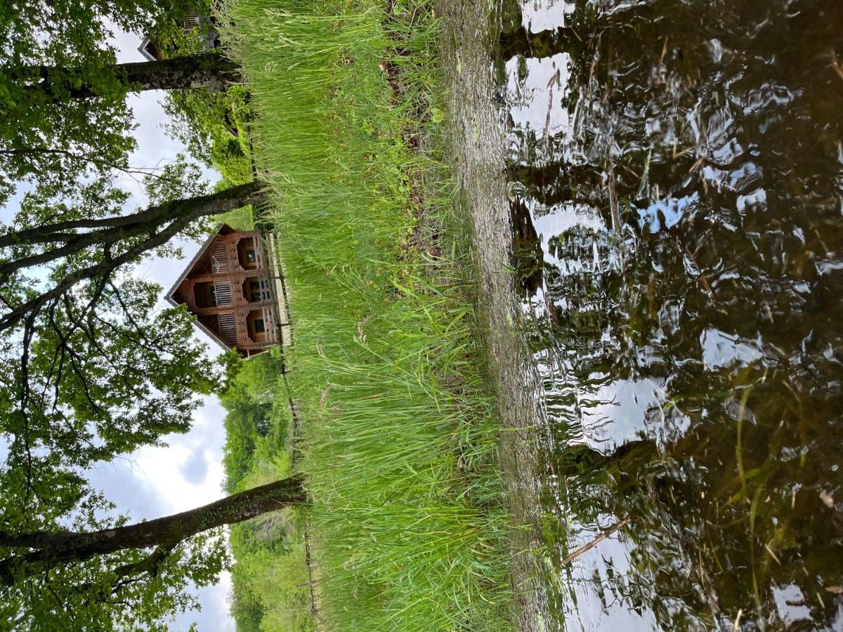 Villa Au Bord Du Lac III Montigny-en-Morvan Exterior foto